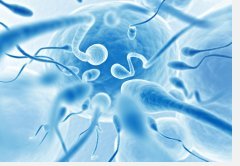 male infertility